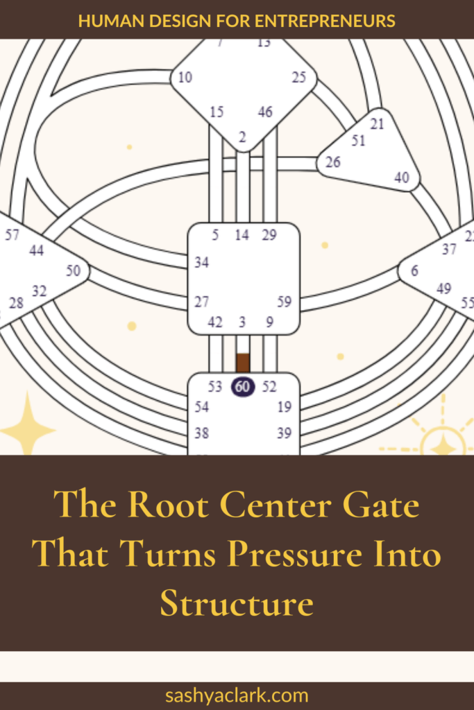 An image of the Human design bodygraph with Gate 60 defined. The text overlay says, "The Root Center Gate That Turns Pressure Into Structure. sashyaclark.com"